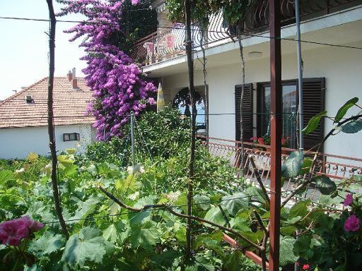 Apartment Knez โตรกีร์ ภายนอก รูปภาพ